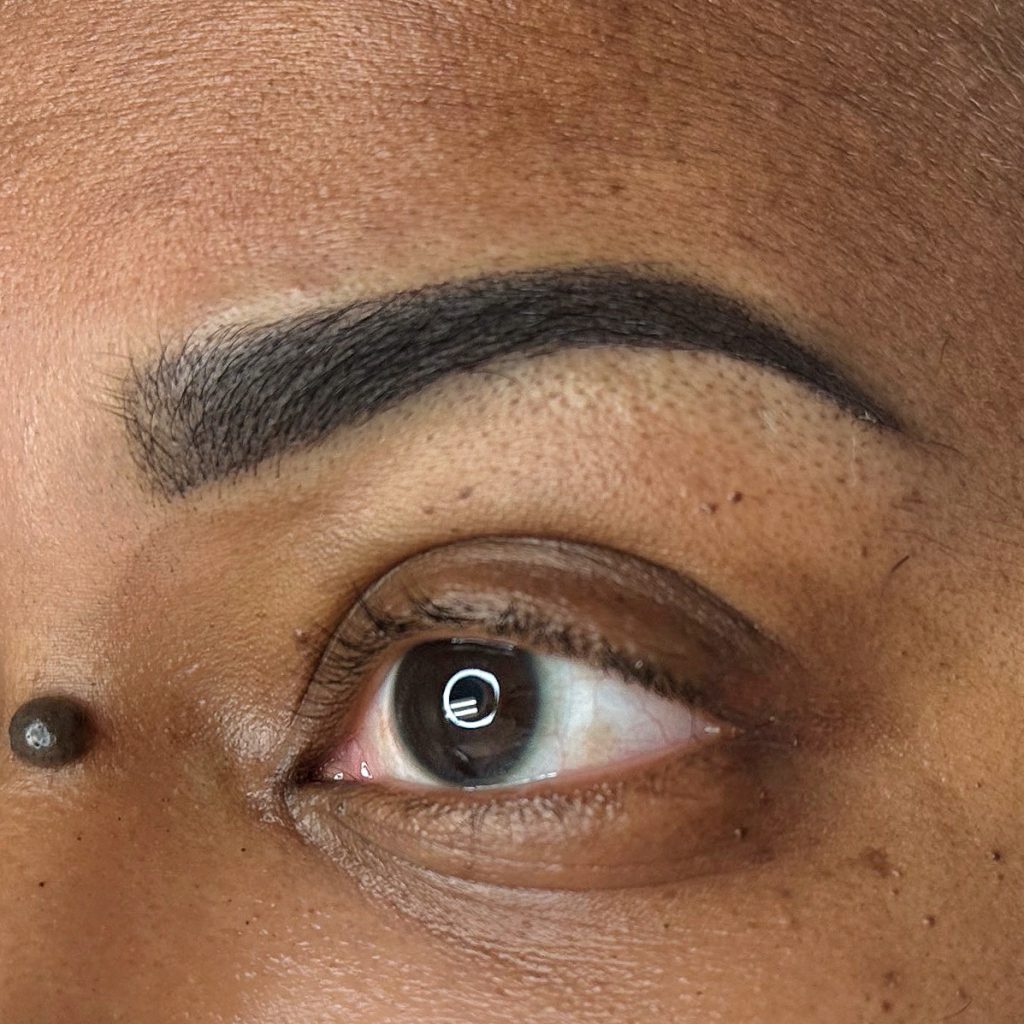 powder brows madison al