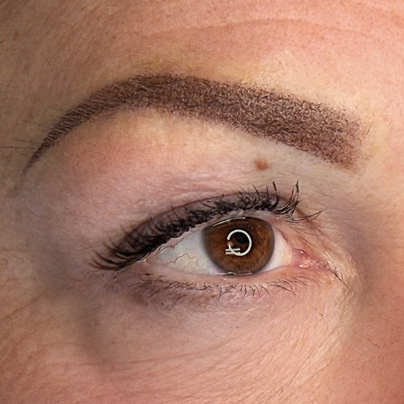 powder brows madison al