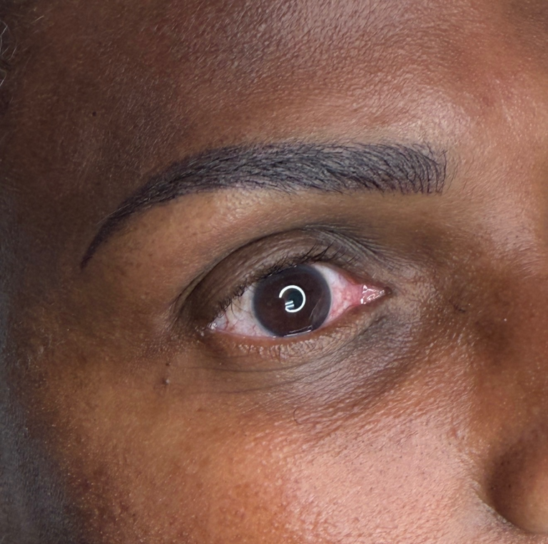 combo brows in madison alabama